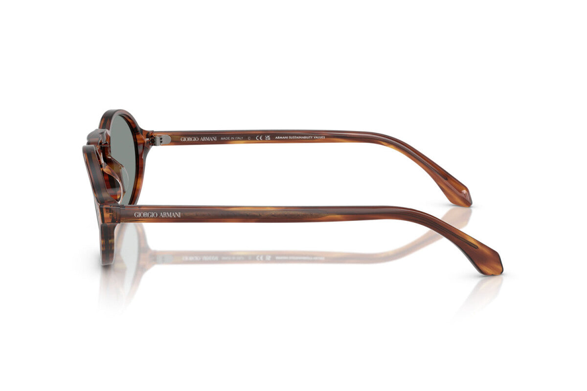 Eyewear Man Giorgio Armani AR 8219U 616256