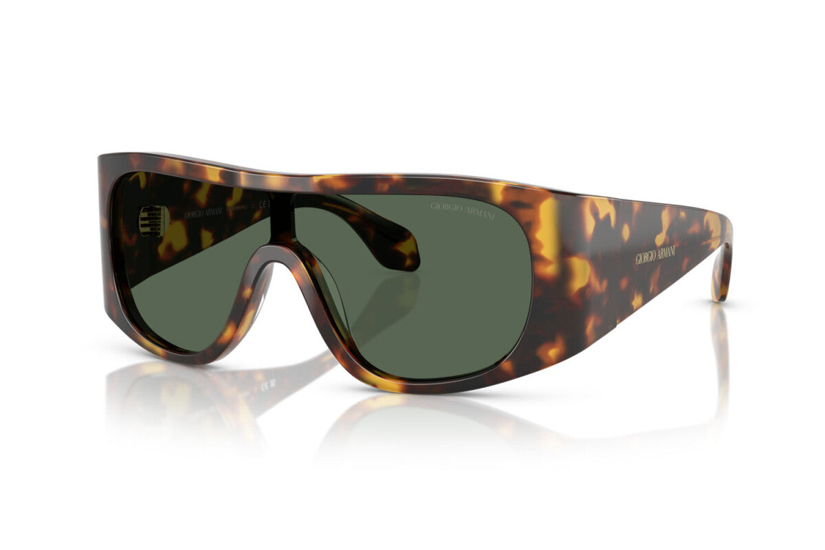 Eyewear Man Giorgio Armani AR 8222U 509271
