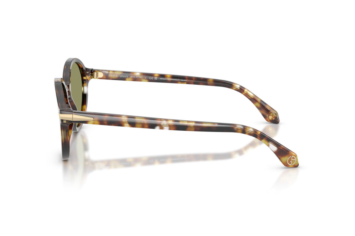 Eyewear Woman Giorgio Armani AR 8237 623214