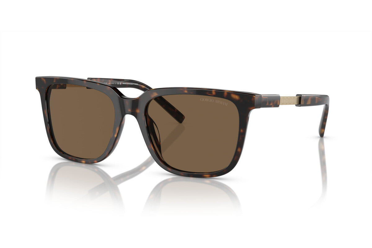 Eyewear Man Giorgio Armani AR 8202U 587973