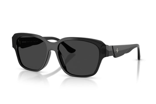 Eyewear Man Woman Ferrari  FH 2016D 737/48