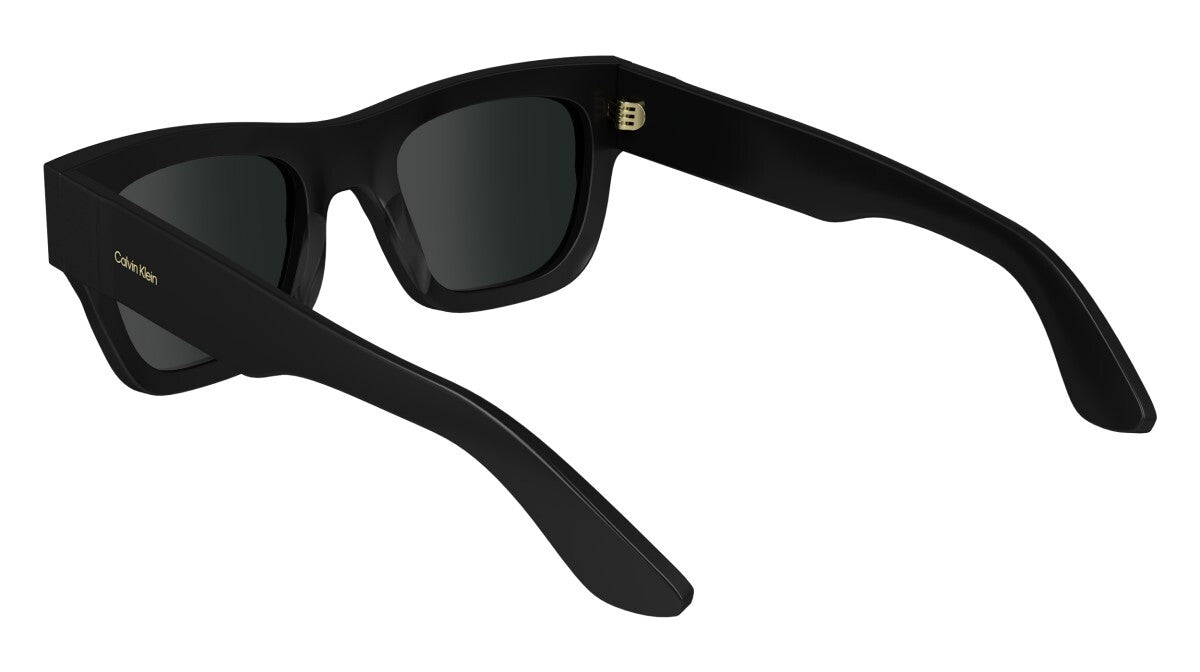 Eyewear Man Calvin Klein  CK24510S 001