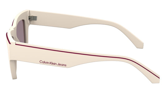Eyewear Man Woman Calvin Klein Jeans  CKJ24602S 671