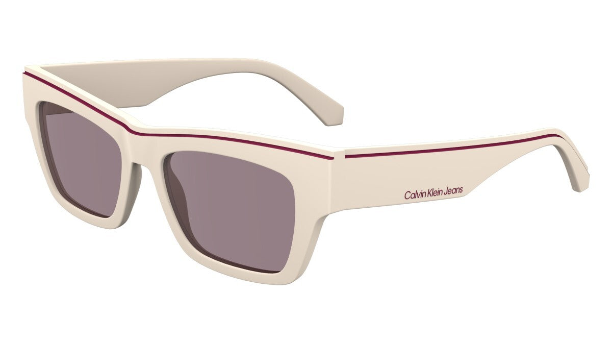 Eyewear Man Woman Calvin Klein Jeans  CKJ24602S 671