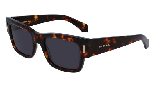 Eyewear Man Salvatore Ferragamo  SF2011S 242