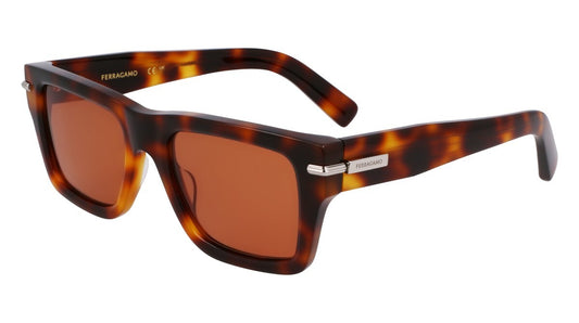 Eyewear Man Salvatore Ferragamo  SF2033S 240