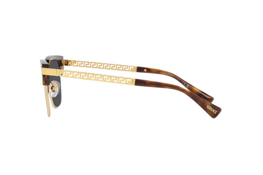 Eyewear Man Versace  VE 4447 108/87