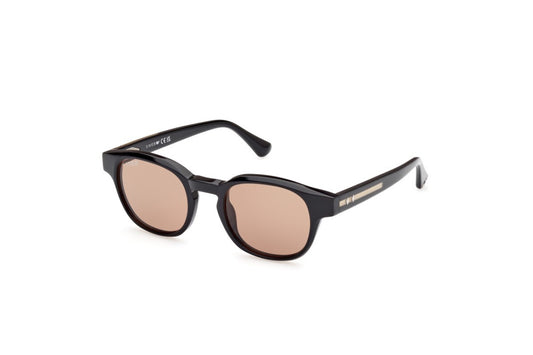 Eyewear Man Web  WE0361 05J