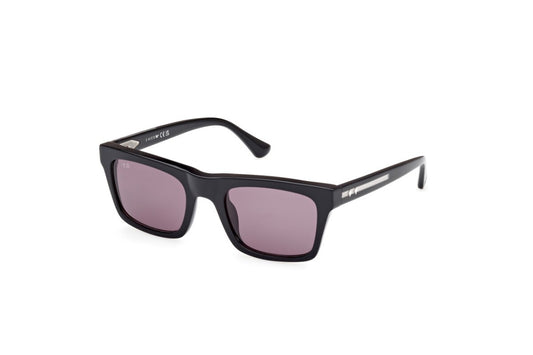 Eyewear Man Web  WE0362 05A
