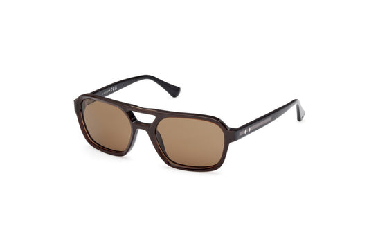 Eyewear Man Web  WE0376 50E